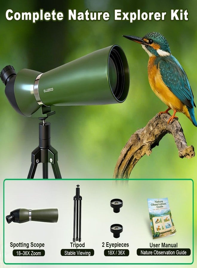 Luzsco Kids Telescope for Bird Watching & Nature Exploration, Beginner Outdoor Telescope with 18X & 36X Eyepieces, Tabletop Tripod, STEM Educational Gift for Boys Girls Ages 6-12 - Image 5
