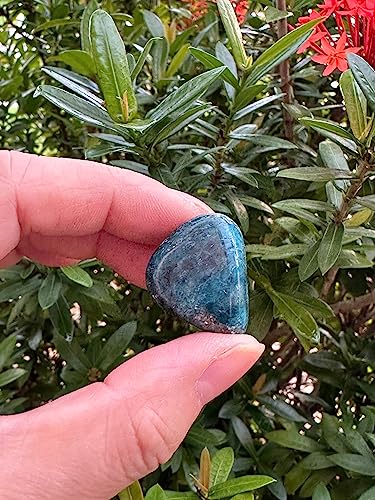 GAF TREASURES WHOLESALE Apatite Tumbled Stones Polished Apatite Gemstone Apatite Polished Rocks Apatite 025 Pound - Image 3