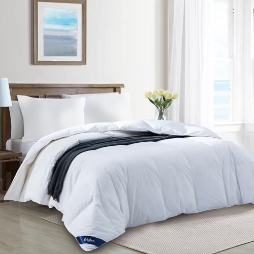 Globon UltraSoft Lightweight Down Feather Comforter Queen SizeBreathable Thin Blanket Duvet Insert for Hot SleeperWarm WeatherNoiseless Shell700 Fill Power with Corner TabsWhite - Image 3