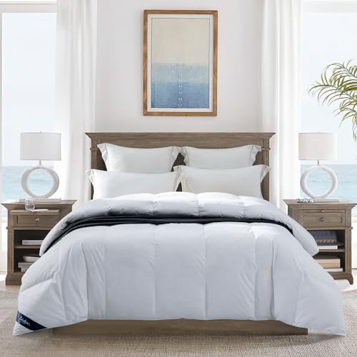 Globon UltraSoft Lightweight Down Feather Comforter Queen SizeBreathable Thin Blanket Duvet Insert for Hot SleeperWarm WeatherNoiseless Shell700 Fill Power with Corner TabsWhite - Image 1