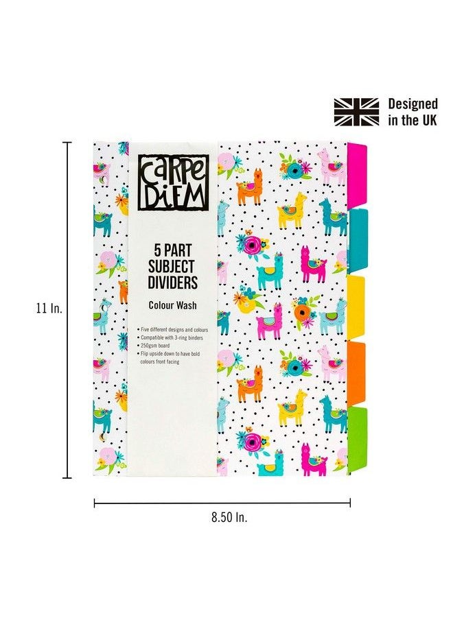 Pukka Pad Carpe Diem 5 Reversible Dividers 1 Pack Of 5 Tab Set 3Ring Binder Compatible 8 ½ X 11 In. Multicolor  - Image 4