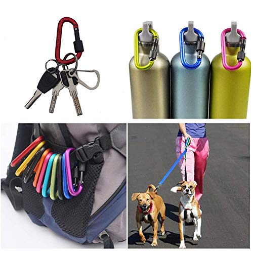 GBSTORE Onwon Aluminum Carabiner D-Ring Locking Key Security Camping Climbing Hiking Keychain (10 PCS) - Image 4