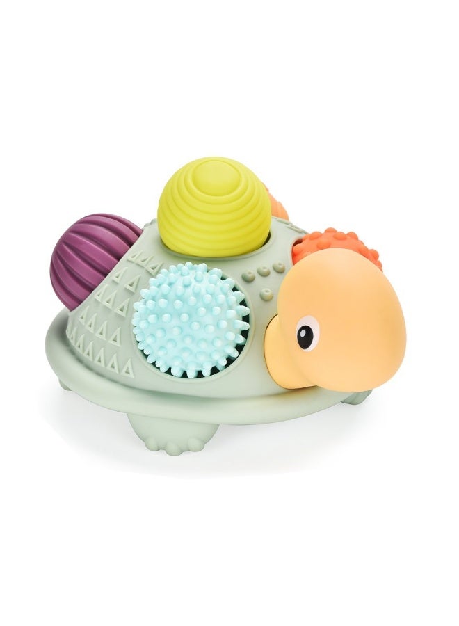 Stem Turtle Massage Pincer Ball - Image 1