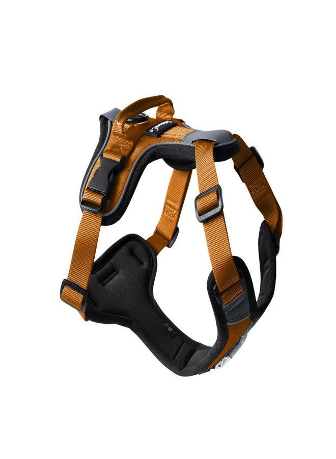 ShawnCo Basecamp Dog Harness, No-Pull Pet Vest with 3 Leash Clips, Padded, Reflective, Lightweight and Adjustable Harness with Handle for Small, Medium and Large Dogs (Sunset Orange, XS) - Image 1