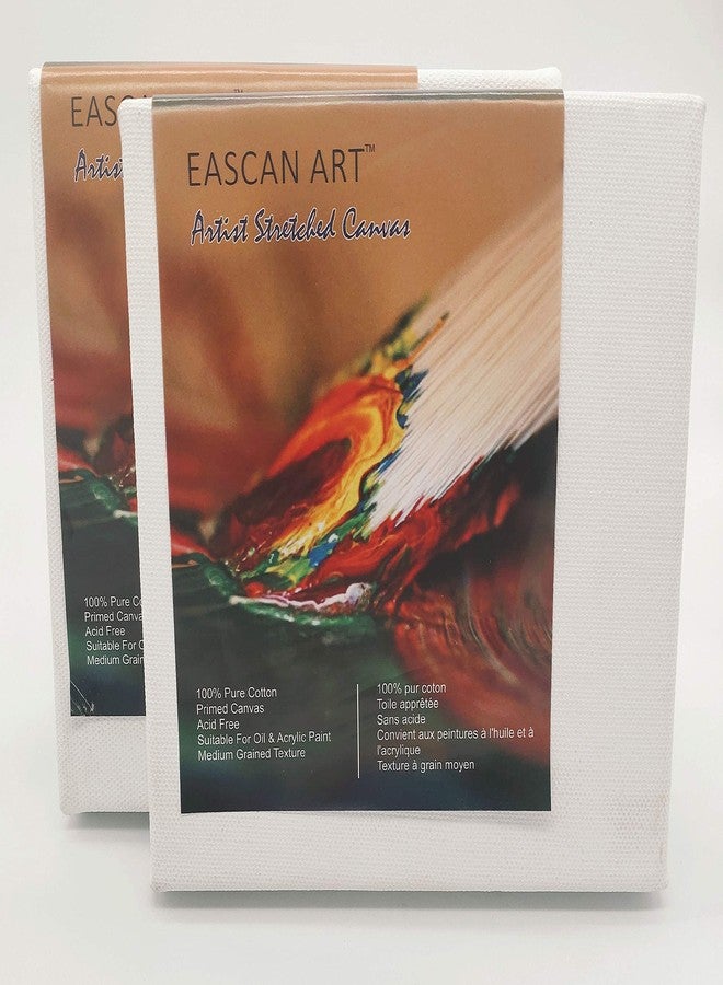 Eascan Art Painting Drawing and Sketch Accessories Quality Deep Edge Pre Stretched Canvas 14"X14" Pack of 2 - Image 1