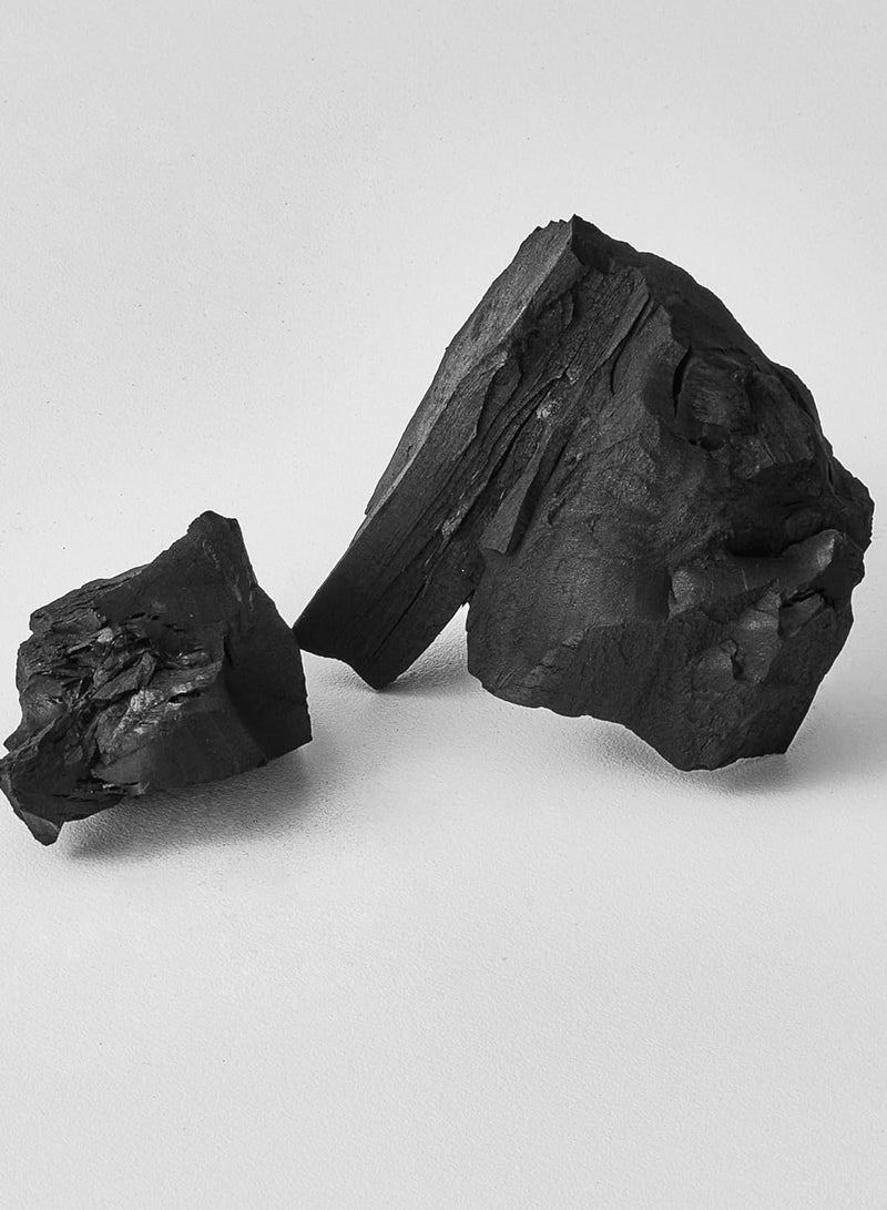 إل صالون بلسم إزالة السموم لجميع أنواع الشعر 500 مل - Image 4