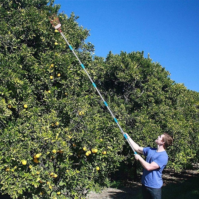 Coconut Fruit Picker Tool, 5FT Fruit Picker with Basket Adjustable Long Handle, Easy to Assemble & Use Fruits Catcher Tree Picker for Getting Fruits - Ideal for Low & Medium Height Fruit Harvesting - Image 5