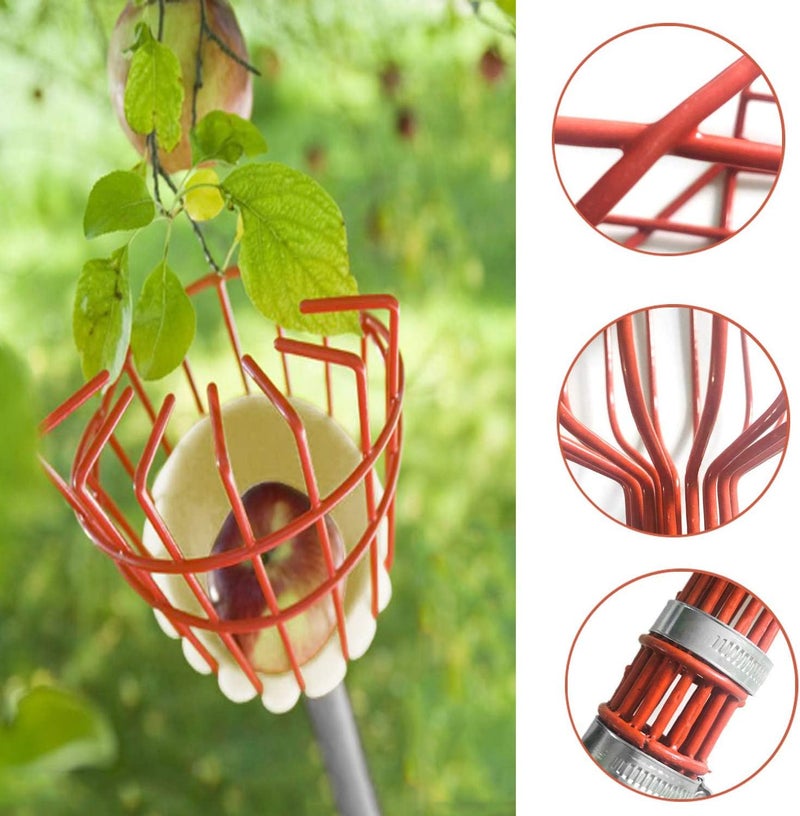 Coconut Fruit Picker Tool, 5FT Fruit Picker with Basket Adjustable Long Handle, Easy to Assemble & Use Fruits Catcher Tree Picker for Getting Fruits - Ideal for Low & Medium Height Fruit Harvesting - Image 3