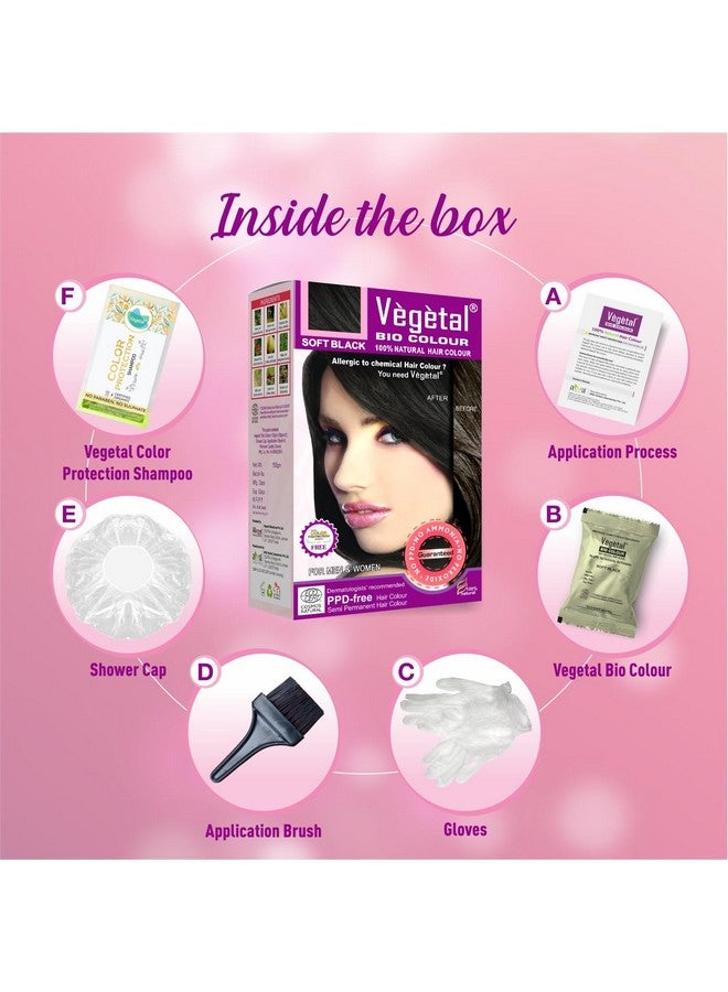 Vegetal Bio Hair Colour Soft Black | 150G | Achieve Natural, Ammonia-Free Hair Color | Ppd-Free, 100% Herbal Certified Organic For Men And Women | Uv Protection And Luster Maintenance | Complete Kit - Image 2
