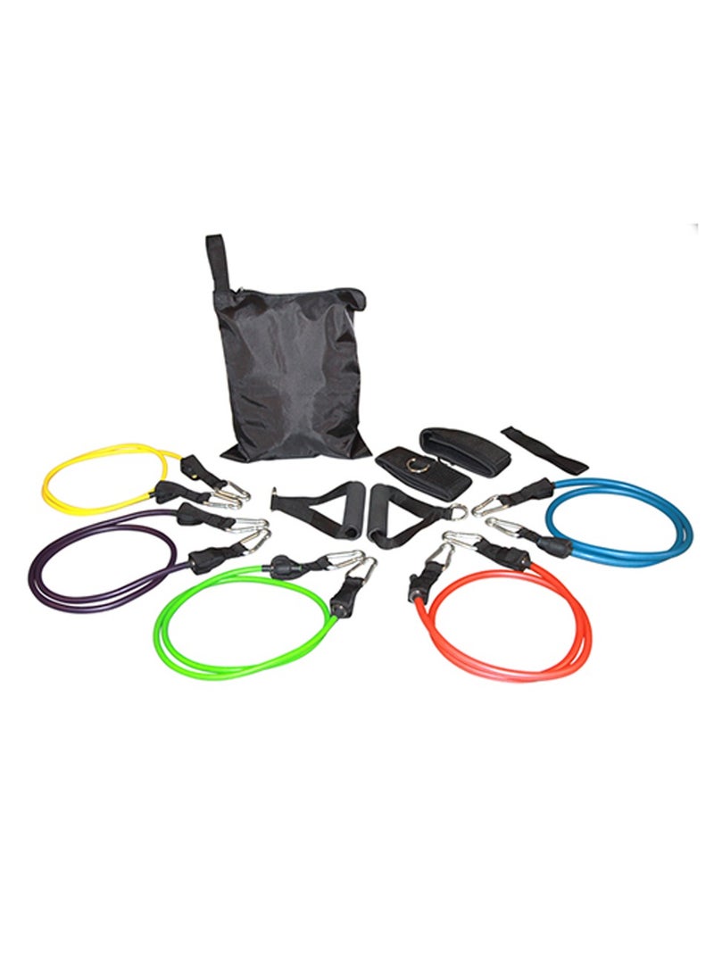 MDBuddy Resistance Bands Set of 5 with Accessory Kit  - Image 1