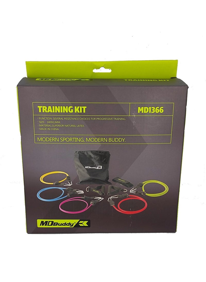 Resistance Bands Set of 5 with Accessory Kit
