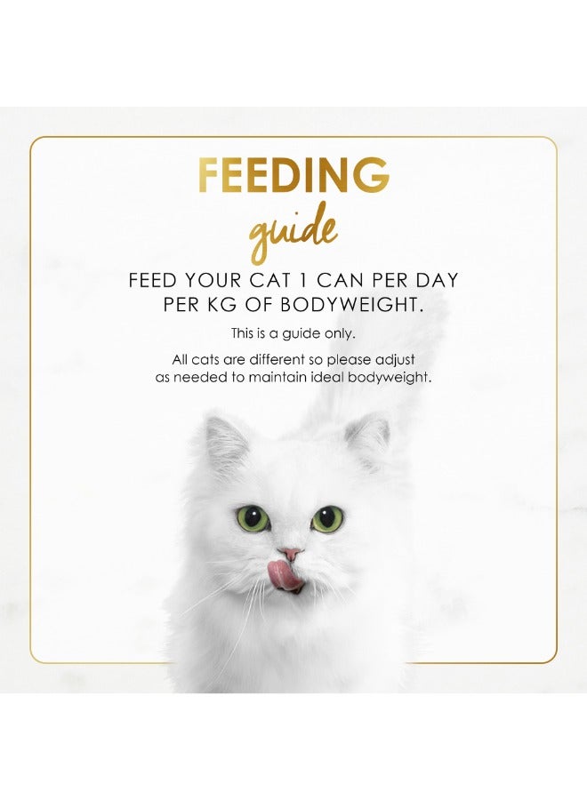 Grilled Salmon Feast in Gravy Wet Cat Food 85g