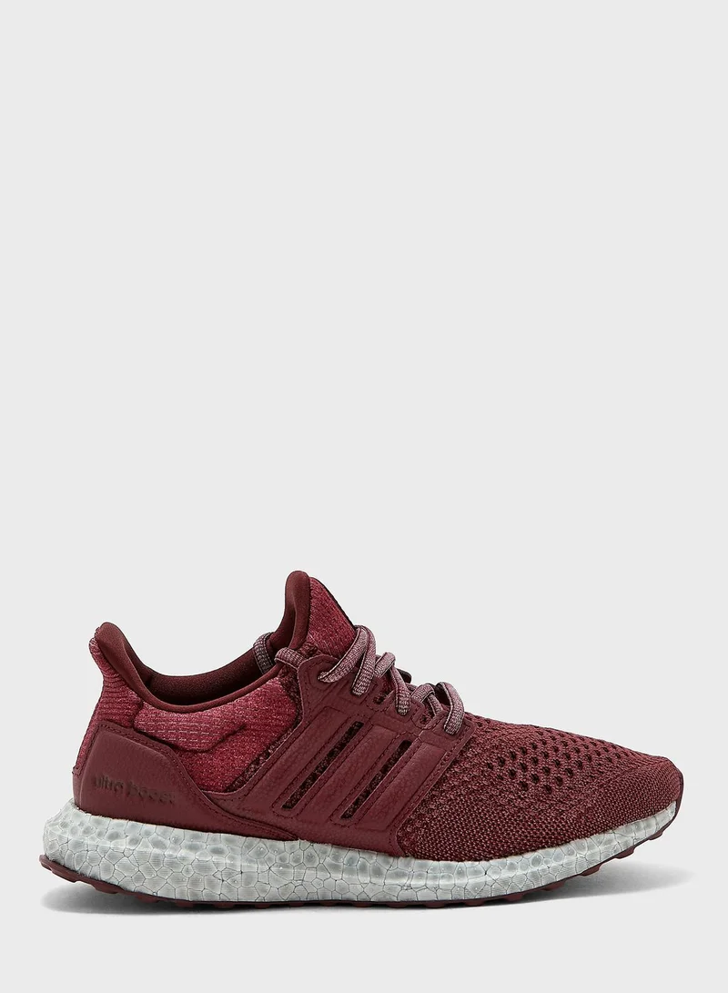 Adidas Ultraboost 1.0 Shoes