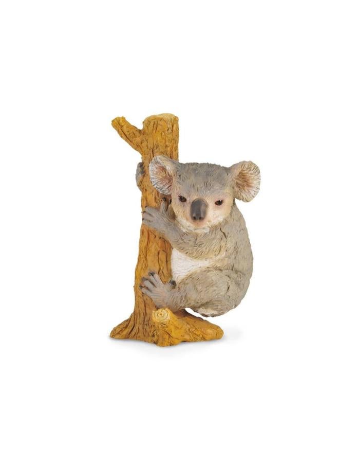 CollectA Egl Collecta Koala ( Climbing )