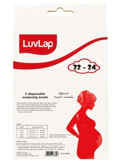 Luvlap Luvlap Disposable Maternity Brief (Size 14-16) (Pack of 3), White  - Image 2