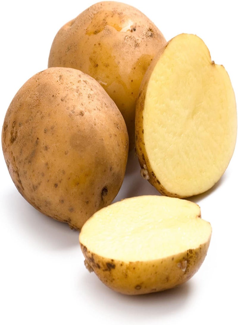 GGOOT 30Pcs Vegetable Potato Seeds, Productive Non-GMO Fresh Sweet Natural Potato Seeds Farm Supplies for Yard Garden Potato Seeds for Lawn - Image 2