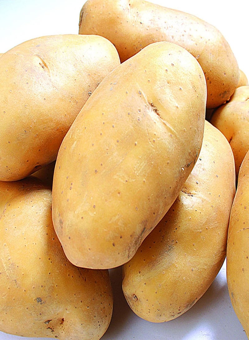 GGOOT 30Pcs Vegetable Potato Seeds, Productive Non-GMO Fresh Sweet Natural Potato Seeds Farm Supplies for Yard Garden Potato Seeds for Lawn - Image 4