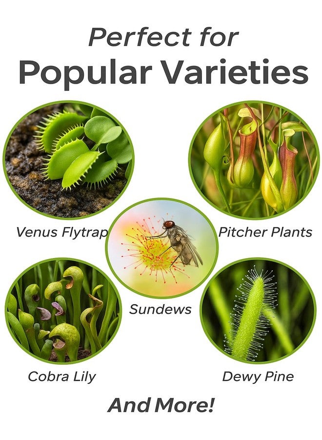Gardenera Professional Carnivorous Plant Soil - Ready to Use for Venus Flytraps, Sundews, Pitcher Plants, Butterworts | Peat Moss, Coco Coir, Perlite - 1 Quart Bag - Image 2