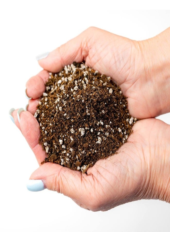 Gardenera Professional Carnivorous Plant Soil - Ready to Use for Venus Flytraps, Sundews, Pitcher Plants, Butterworts | Peat Moss, Coco Coir, Perlite - 1 Quart Bag - Image 4