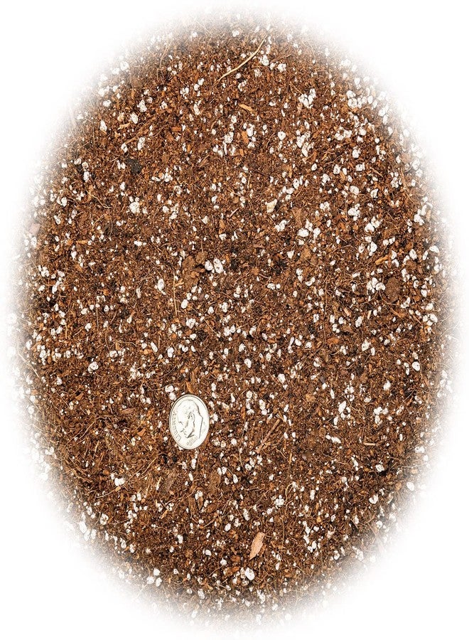 Gardenera Professional Carnivorous Plant Soil - Ready to Use for Venus Flytraps, Sundews, Pitcher Plants, Butterworts | Peat Moss, Coco Coir, Perlite - 1 Quart Bag - Image 5