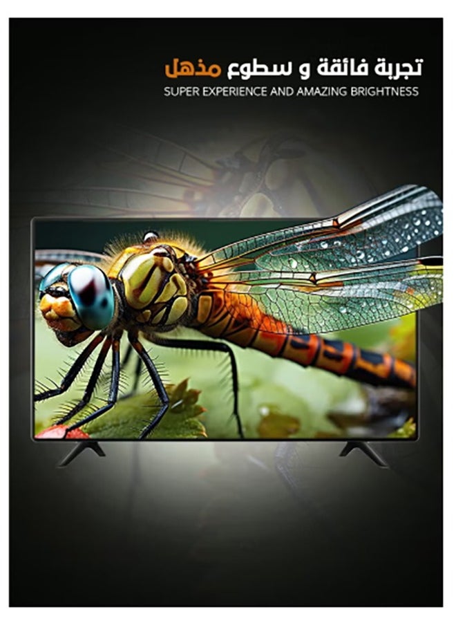 آركيو - تلفزيون ذكي LED بدقة 4K مقاس 55 بوصة، webOS 2.0، دقة UHD 3840x2160، نسبة عرض إلى ارتفاع 16:9، ذاكرة وصول عشوائي 1.5 جيجابايت، ذاكرة قراءة فقط 8 جيجابايت، Dolby Atmos، صوت DTS Premium، صوت Bluetooth، HDR10+، 3 منافذ HDMI و2 منافذ USB، تحكم صوتي بدون استخدام اليدين، WiFi | RO-55LPW - Image 1