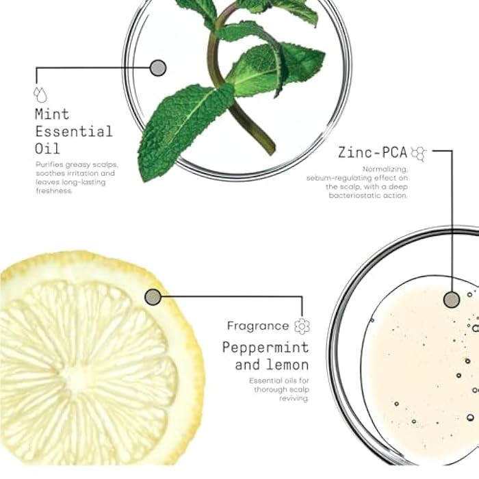 FRAMESI Morphosis Balance Shampoo 33.8 fl oz - Image 5