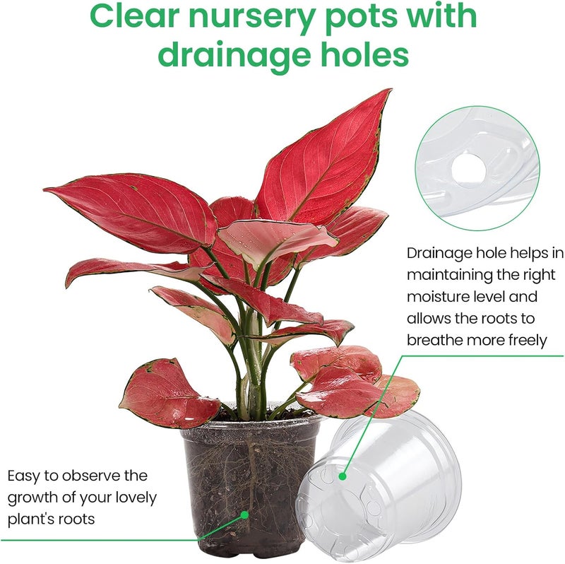 Bluepro 36 Packs 5/4/3.5 Inch Reinforced Clear Nursery Pots with Drainage Hole, Transparent Nursery Pots Variety Pack Plastic Plant Pot Seedling Planter Seed Starter Pots Flower Pot with 20pcs Plant Labels - Image 3