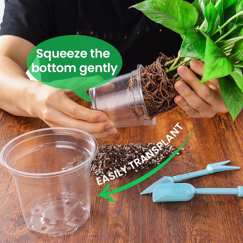 Bluepro 36 Packs 5/4/3.5 Inch Reinforced Clear Nursery Pots with Drainage Hole, Transparent Nursery Pots Variety Pack Plastic Plant Pot Seedling Planter Seed Starter Pots Flower Pot with 20pcs Plant Labels - Image 5