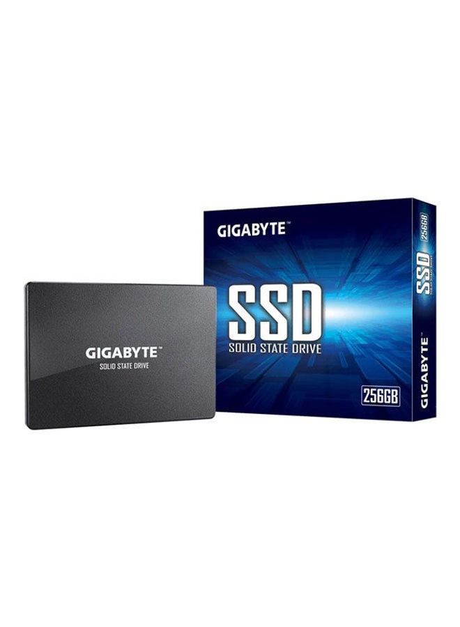 256 GB SSD HD 256 GB