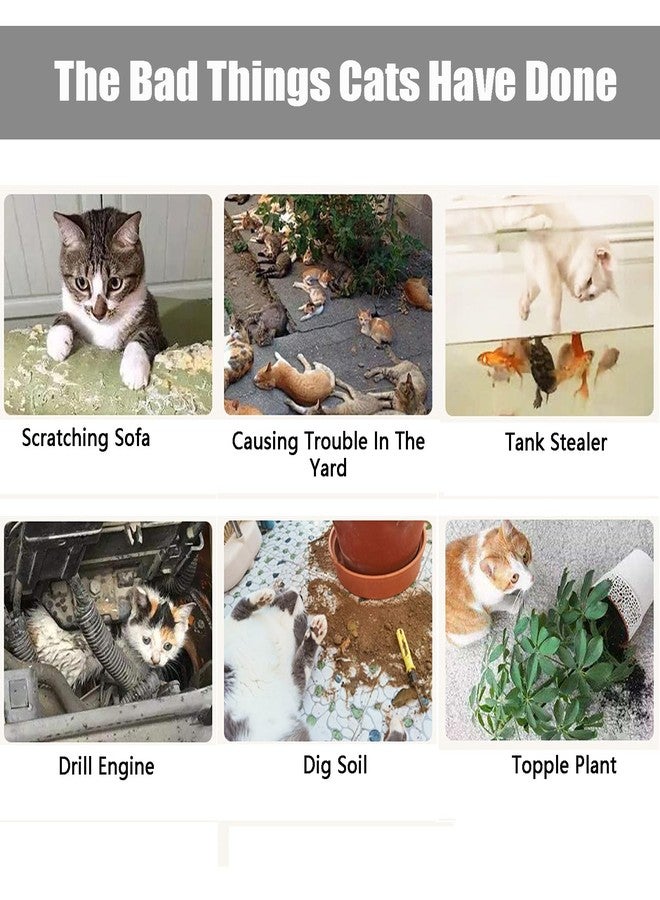 GKYZBB 10 Pack Extra Large Cat Scat Mat for Cats,16.5 x 13 in,Cat Indoor/Outdoor Deterrent Pad,Dog and Cat Spike Mat Anti,dig for Garden,Cat Anti-Scratch Mat with - Image 4