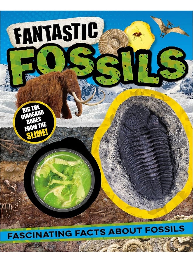 Non-Fiction Books Fantastic Fossils  - Image 5