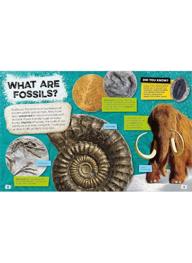 Non-Fiction Books Fantastic Fossils  - Image 2