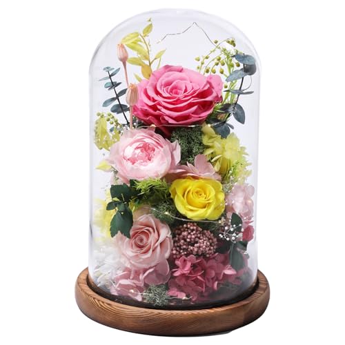 lovenfold Flowers for Delivery Preserved Flowers Rose in Glass Dome,Pink Rose Forever Flowers Birthday Gifts for Women Mom Grandma Friend for Her,Home Decor - Image 1