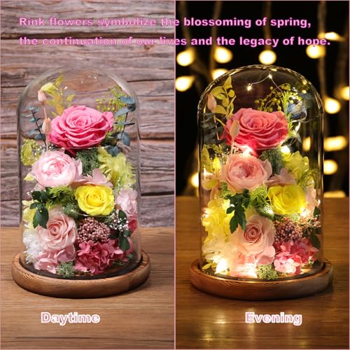 lovenfold Flowers for Delivery Preserved Flowers Rose in Glass Dome,Pink Rose Forever Flowers Birthday Gifts for Women Mom Grandma Friend for Her,Home Decor - Image 3
