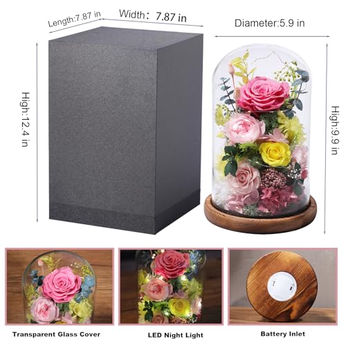 lovenfold Flowers for Delivery Preserved Flowers Rose in Glass Dome,Pink Rose Forever Flowers Birthday Gifts for Women Mom Grandma Friend for Her,Home Decor - Image 2