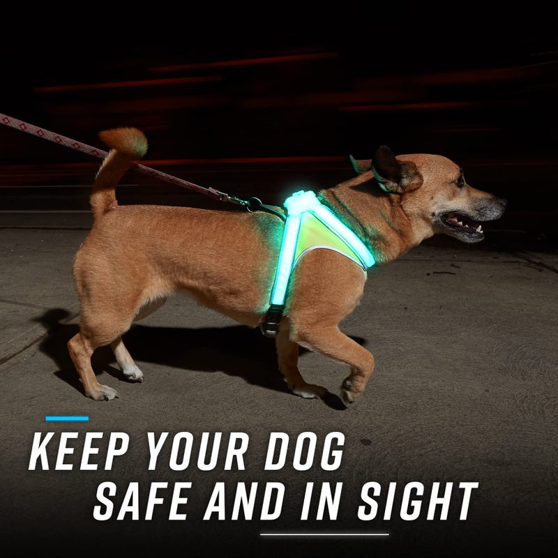Noxgear LightHound (Large) + High-Visibility Dog Leash â€“ Illuminated and Reflective Harness for Dogs Including Multicolored LED Fiber Optics (USB Rechargeable, Adjustable, Lightweight, Rainproof) - Image 5
