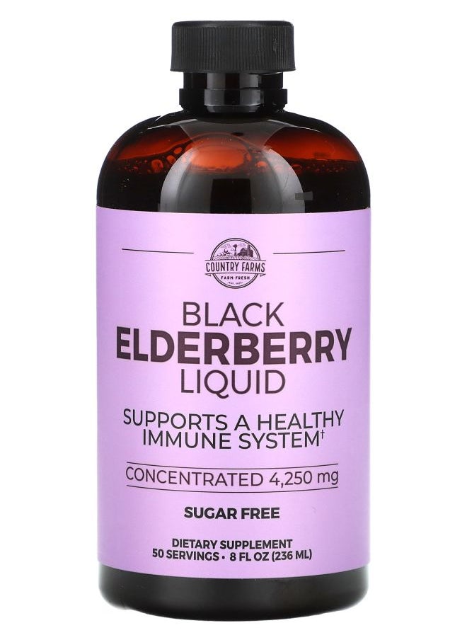 Black Elderberry Liquid 8 fl oz (236 ml) - pzsku/Z3BB217C57C70846CD27EZ/45/_/1730767309/8a4b6668-f23e-45d7-b2d2-924302ecea26