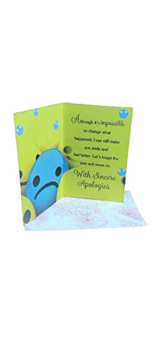Flute Rey Teddy Bouquet with Sorry Card  - Image 4