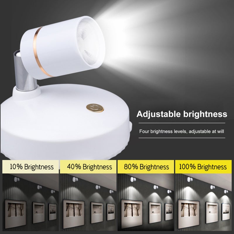 Decorative Effect Led Spot Lamp Goblincore Room Decor with Remote Controlller 4 Adjustable Brightness（10%-40%-80%-100%） - Image 4
