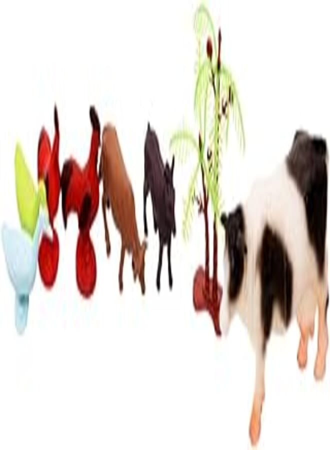 China Animal Farm NO:H862