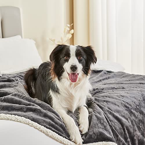 Qeils Dog Blankets for Large Dogs - Waterproof Cat Blanket Washable - Sherpa Fleece Puppy Blanket, Soft Plush Reversible Throw Protector for Bed Couch Car Sofa, 60"X80", Dark Grey - Image 3