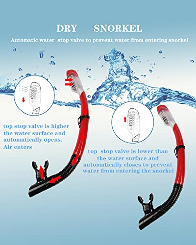 DIPUKI Snorkel mask Snorkeling Set for Adults and Youth, Diving mask and Full Dry Snorkel Swim Googles is Suitable for Snorkeling, Dive Scuba Diving, Swimming (RED) - Image 4