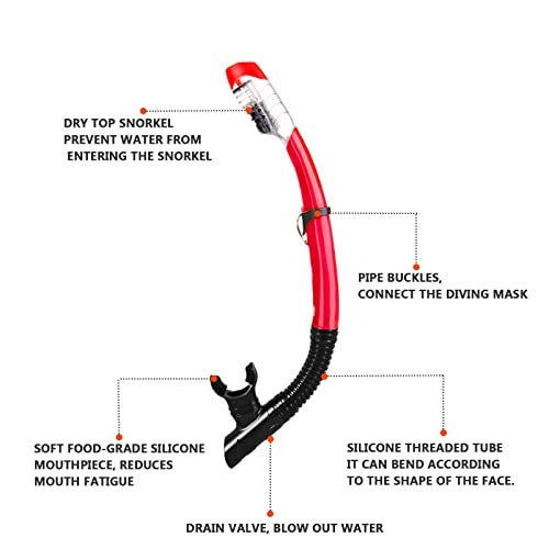 DIPUKI Snorkel mask Snorkeling Set for Adults and Youth, Diving mask and Full Dry Snorkel Swim Googles is Suitable for Snorkeling, Dive Scuba Diving, Swimming (RED) - Image 5