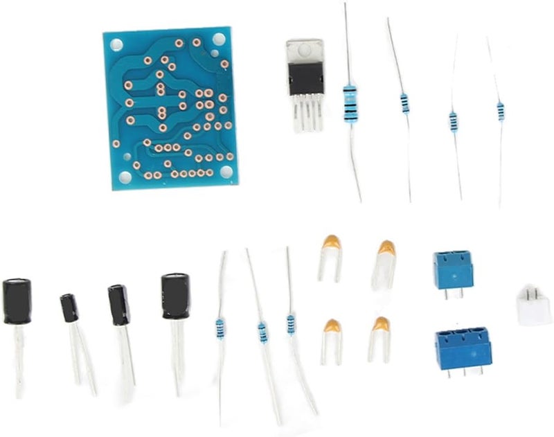 20W Mono Channel HiFi Audio Power Amplifier Board DIY Kit for Home Hotel Use - Image 1