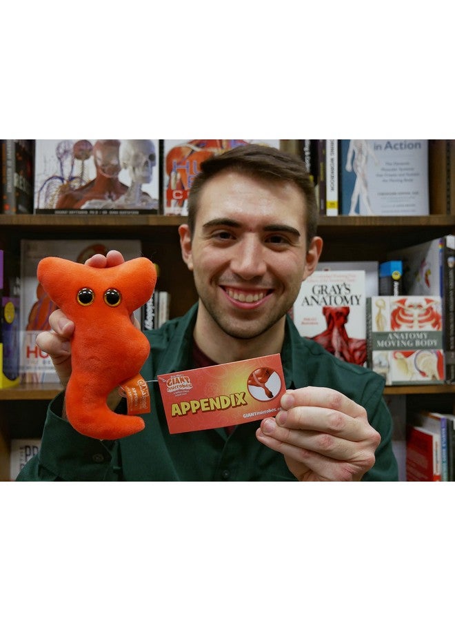 Giant Microbes GIANTmicrobes Appendix Plush, Appendix Surgery Recovery, Appendicitis Gift, Appendectomy Recovery Gifts, Surgery Recovery Gifts, Get Well Gift - Image 5