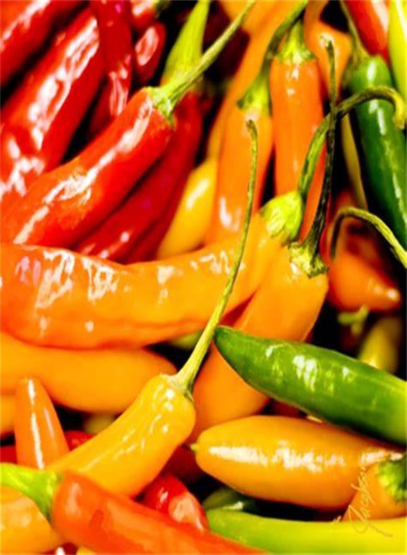 جي جوت بذور الفلفل الحار المزروعة في المملكة المتحدة/بذور عضوية عالية الجودة/أعشاب معمرة/زراعة عضوية تُضفي جمالاً على البيئة/بذور حدائق تراثية/خضراوات حارة منعشة/نباتات عطرية - ٥٠٠ بذرة - Image 1