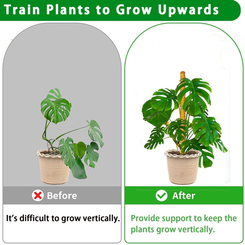 PLANTPOLEX Moss Pole, 2 Pack 17 Inch Monstera Plant Support for Climbing Plants Accessories Indoor, Stackable Moss Poles Plant Support Stakes, Coir Plant Pole Sticks for Potted Plants, Pothos, Philodendron - Image 5