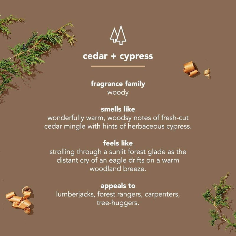 Method Mens Aluminum-Free Deodorant, Cedar & Cypress, 2.65 Ounce (Pack of 6) - Image 4