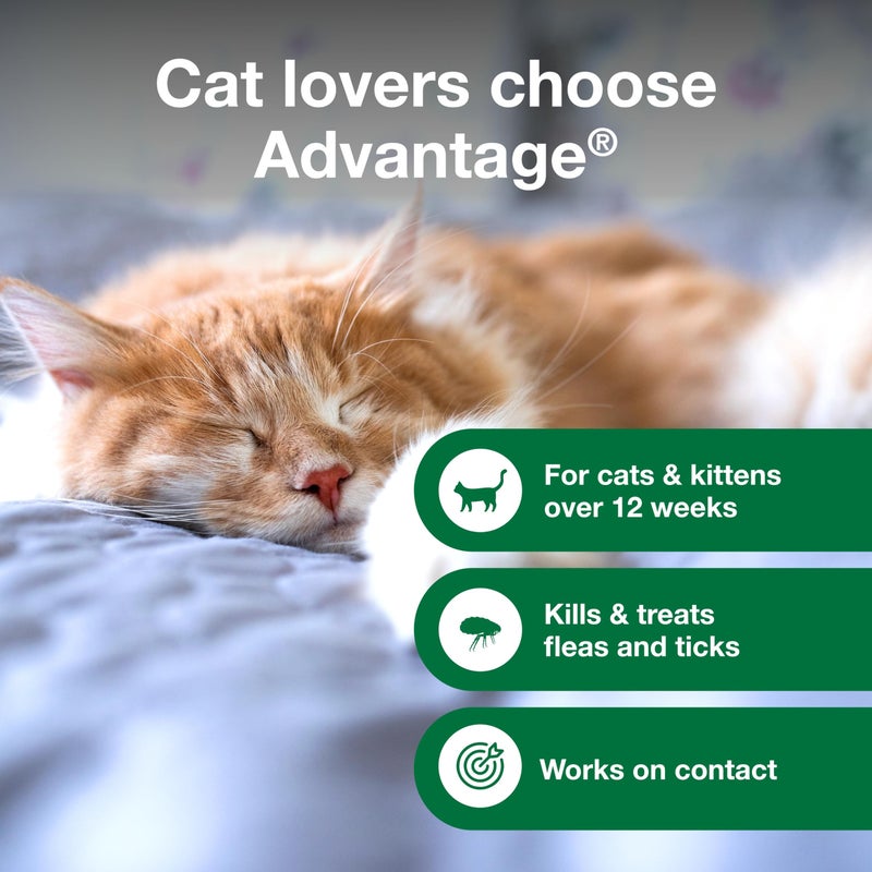 Advantage Cat Flea & Tick Shampoo for Kittens & Adult Cats | Kills Fleas & Ticks | 8 oz. - Image 3