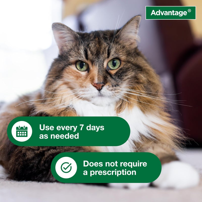 Advantage Cat Flea & Tick Shampoo for Kittens & Adult Cats | Kills Fleas & Ticks | 8 oz. - Image 4